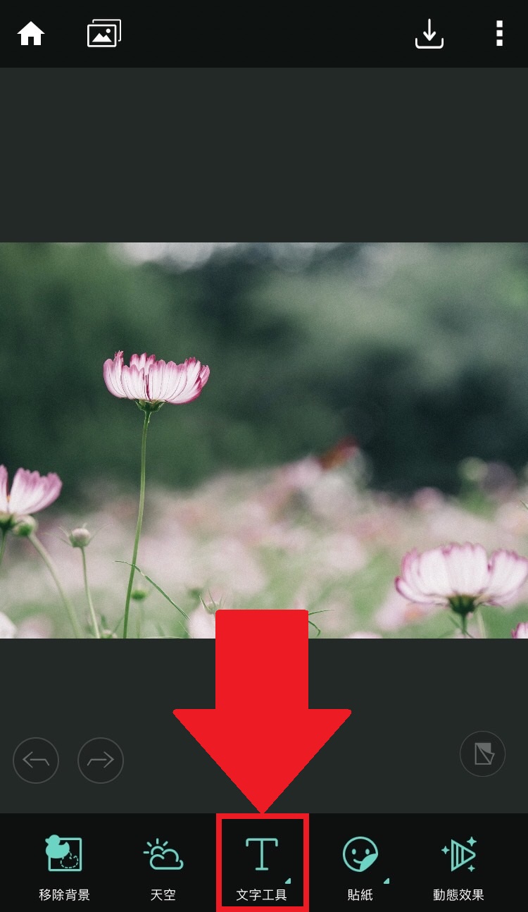 長輩圖製作教學